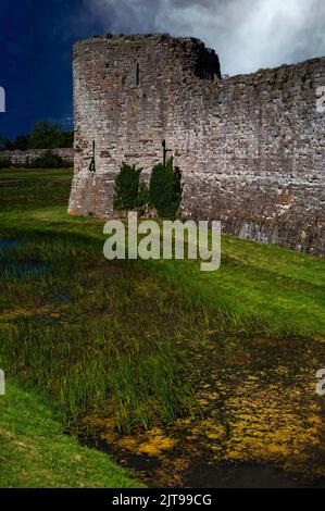 A deep moat fed by a spring and filled with water plants curves around the north corner tower of the inner bailey of Pevensey Castle, a medieval stronghold, inside ancient Roman outer walls, in East Sussex, England, UK.  The castle was founded by the Normans soon after William the Conquerer’s victory over the English in the 1066 Battle of Hastings. Stock Photo