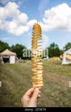 Potato street food snack in hand. Fried potatoes on a skewer at the food market festival. High quality photo Stock Photo