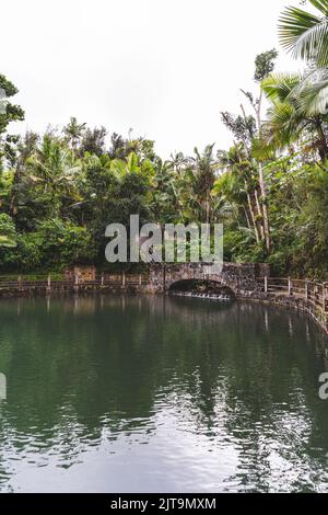 The Bano Grande swimming pool, fed by a stream, in the El Yunque National Forest, Puerto Rico Stock Photo