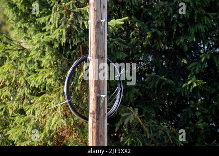 Coils of fibre-optic cable on telegraph pole waiting to be installed Stock Photo
