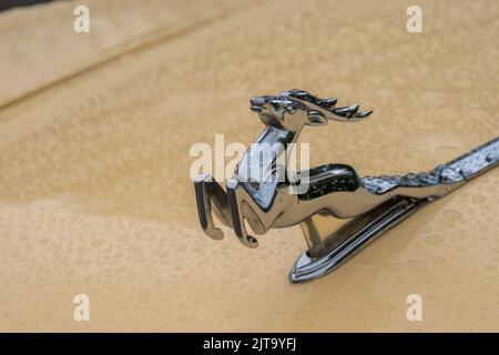 Figurine of deer on the hood of GAZ M21 Volga at Classic Soviet Car Exhibition Stock Photo