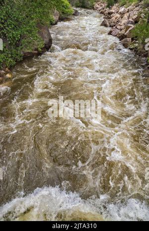 Shell Creek rapids, Shell Canyon, Bighorn Mountains, Bighorn National Forest, Wyoming, USA Stock Photo