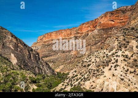 Cliffs over Shell Creek in Shell Canyon, Bighorn Scenic Byway (Highway US-14), near Post Creek picnic area, early morning, Bighorn Mtns, Wyoming, USA Stock Photo