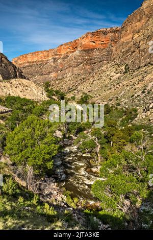 Cliffs over Shell Creek in Shell Canyon, Bighorn Scenic Byway (Highway US-14), near Post Creek picnic area, early morning, Bighorn Mtns, Wyoming, USA Stock Photo