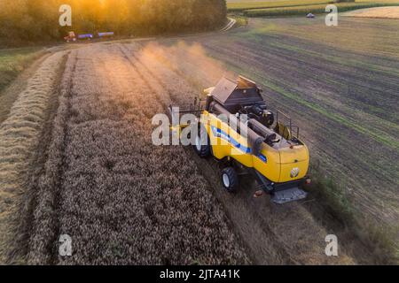 Farm field with yellow harvester driving through it and green fields in the background with yellow glare. Horizontal shot. High quality photo Stock Photo