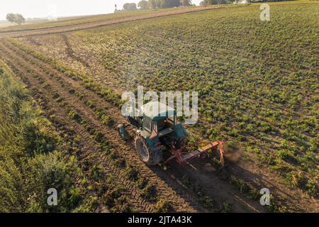Green tractor with plougher driving through bean plantation next to lush green field and faded tree silhouettes in the background. Slanted angle horizontal shot. High quality photo Stock Photo