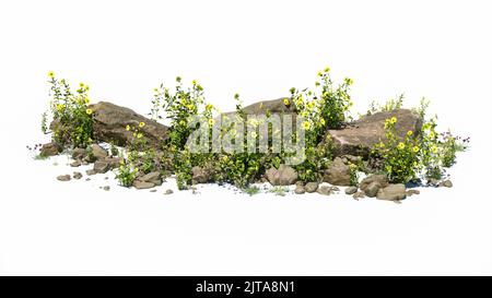 Cutout rock surrounded by yellow flowers. Garden design isolated on white background. Flowering shrub and green plants for landscaping. Decorative shr Stock Photo