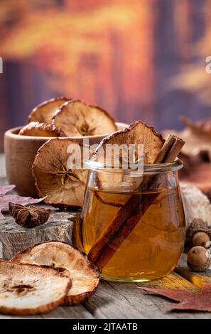 Glass of apple cider with cinnamon stick and dried apple chips with autumn background for copy space Stock Photo