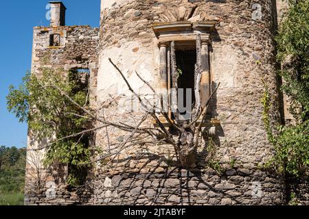 France, Teillet, 2022-08-01. Close-up of the ruined windows of the chateau of Grandval with the trees and branches that have grown inside. Photograph Stock Photo