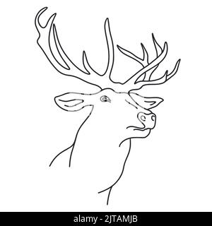 Forest deer vector illustration Stock Vector