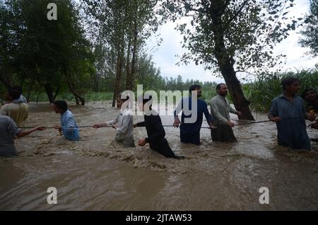 Peshawar, Pakistan. 26th Aug, 2022. Torrential rains and storms cause flooding in Pakistan. Downpours and severe storms affected life in the Dagai Mukaram Khan region, near the city of Peshawar. Citizens made their way through the flooded streets with difficulty. (Credit Image: © Rana Sajid Hussain/Pacific Press via ZUMA Press Wire) Stock Photo