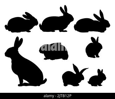 Set of Rabbits are grazing. Picture silhouette. Farm pets. Fur animals. Isolated on white background. Vector. Stock Vector