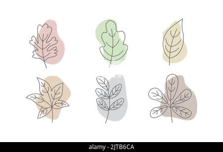 contours of leaves on the background of an abstract figure vector Stock Vector