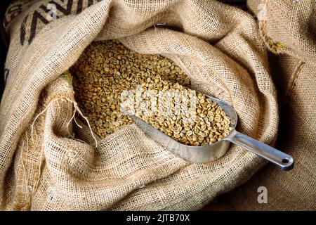 Green, unroasted coffee lies in burlap bags. There is a scoop in the bags to sprinkle grain. Stock Photo