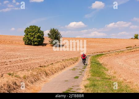Cyclist with e-bike riding on lonely dirt road up hill through dried up fields and two trees, Germany Stock Photo