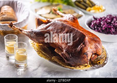 Roast goose with side dishes, red cabbage, roast, strudel, potato dumplings, pickles bread and pear distillate. Stock Photo