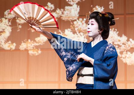A Japanese geisha wearing a kimono, performs a traditional fan dance at the Kanda Myojin Shrine, in Chiyoda, Tokyo, Japan. Stock Photo