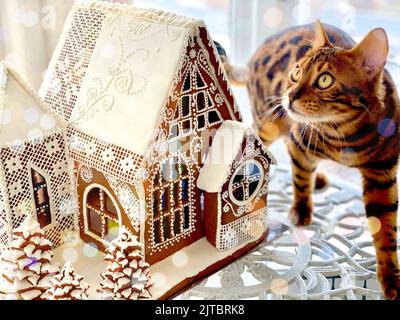 fabulous gingerbread house and cute kitten. Christmas decoration. New Year card Stock Photo