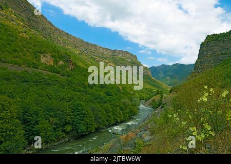 Fast river passing through a wooded and rocky mountains range in summer Stock Photo
