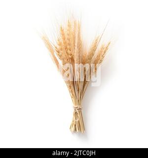 Bunch of wheat ears isolated on white. Stock Photo