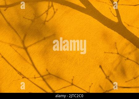 Shadow of branches on saturated yellow concrete wall texture background Stock Photo