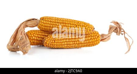 Three ears of dried corn on a white background Stock Photo