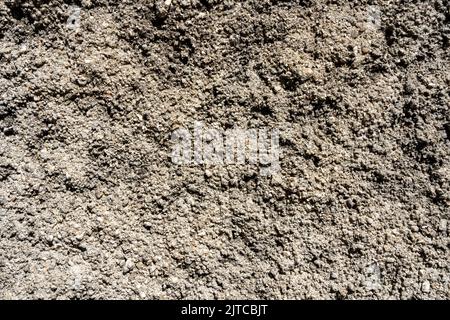 Texture made of close-up image of shell rock surface white and gray Stock Photo