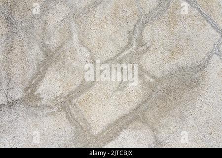 Texture made of close-up image of shell rock surface white and gray Stock Photo