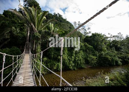 Wooden swing rope bridge over river in the Belize rainforest Stock Photo
