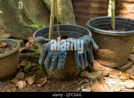 Gloves left unintentionally on a flower pot after gardening. Bad practice. Stock Photo