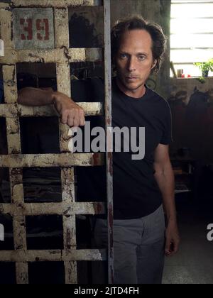 WILLIAM FICHTNER, PRISON BREAK : SEASON 2, 2006 Stock Photo - Alamy