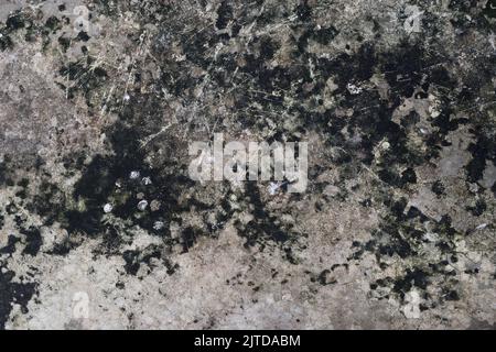 Stains and cracks on concrete surface , Black with green and brown stripe on gray background Stock Photo