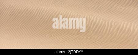 Namibia, grains of sand on the yellow dunes, texture,  background Stock Photo