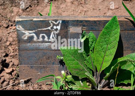 wooden step on hiking trail Stock Photo