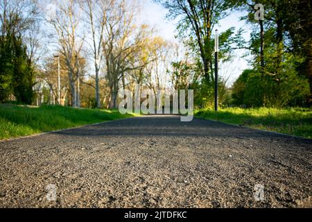 Gravel path leading through the park Stock Photo