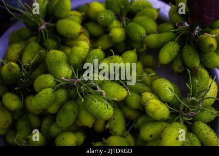 Vegetables are one of the primary income sources for Bangladeshi farmers. Previously it was only for household consumption but now become cash crops. Stock Photo