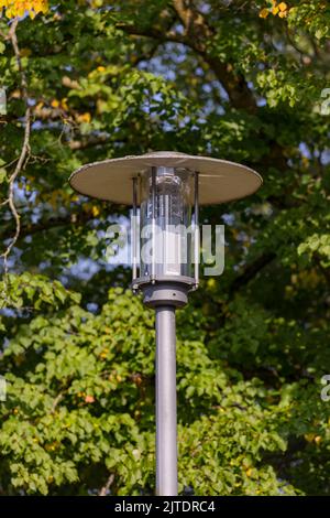 Street light with LED light against green background, Germany Stock Photo