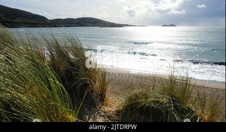 Sand dunes and beach at Derrynane, County Kerry, Ireland - John Gollop Stock Photo