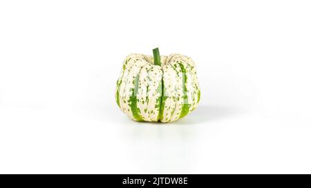 Sweet dumpling decorative squash isolated on white background. Small white pumpkin with green stripes photo with copy space. Stock Photo