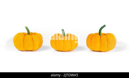 Decorative pumpkins set side view. Beautiful orange pumpkins on a white background. Three squash for decorating products for Halloween, Thanksgiving, Stock Photo