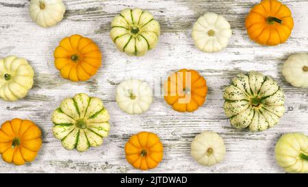 Decorative pumpkins on a white wooden background in a rustic style. Small pumpkins pattern for thanksgiving and harvest festival background. The conce Stock Photo