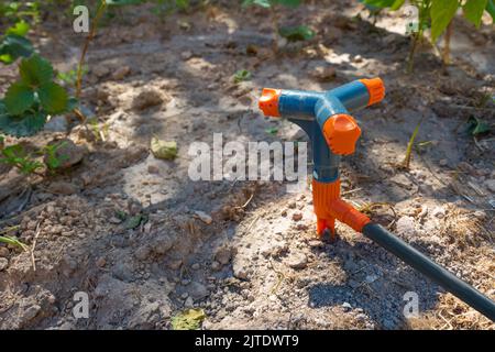 Three arm rotary or rotating sprinkler in focus. Gardening tools background photo. Stock Photo