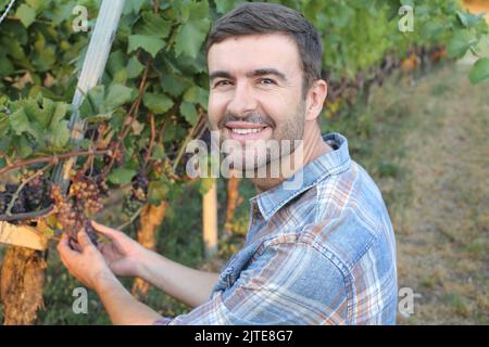 Handsome farmer in beautiful vineyard Stock Photo