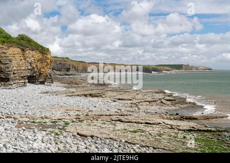 Limestone pavement and sea cliffs with layered rocks, Glamorgan Heritage Coast, near St. Donat’s, South Wales, UK, August. Stock Photo