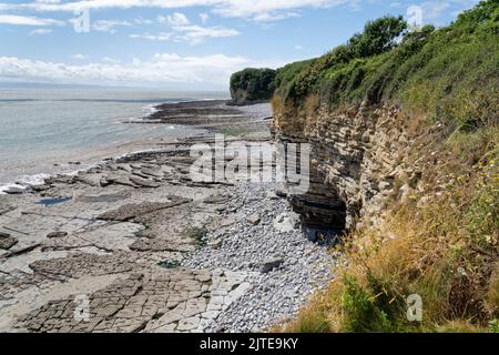 Limestone pavement and sea cliffs with layered rocks, Glamorgan Heritage Coast, near St. Donat’s, South Wales, UK, August. Stock Photo