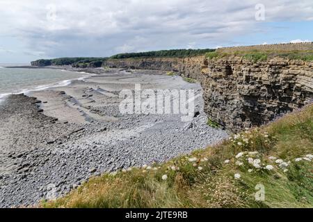 Limestone pavement and sea cliffs with layered rocks, Glamorgan Heritage Coast, near Llantwit Major, South Wales, UK, August. Stock Photo