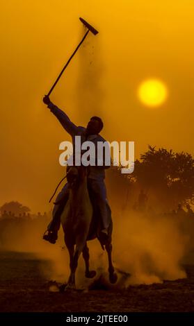 man on the horse in sunset light , tent pegger is riding on the back of horse in dust and golden light Stock Photo