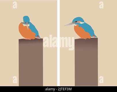 vector of animals: two pictures of kingfishers sitting on a pole. With colors: blue, orange, yellow and grey Stock Vector