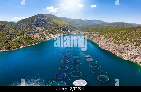 Floting Farm Aerial view of a floating fish farm with wooden structures and net ...