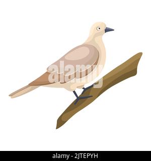 Flat style cartoon wild dove sitting on a branch. Simple clipart for product design, print for clothes, stickers. Icon with a city bird. Drawing for educational board games for children. Common bird. Stock Vector